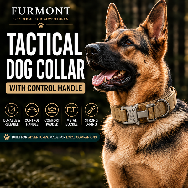 Durable Training Collar