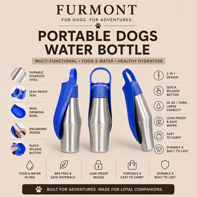 Adventure Travel Water Bottle