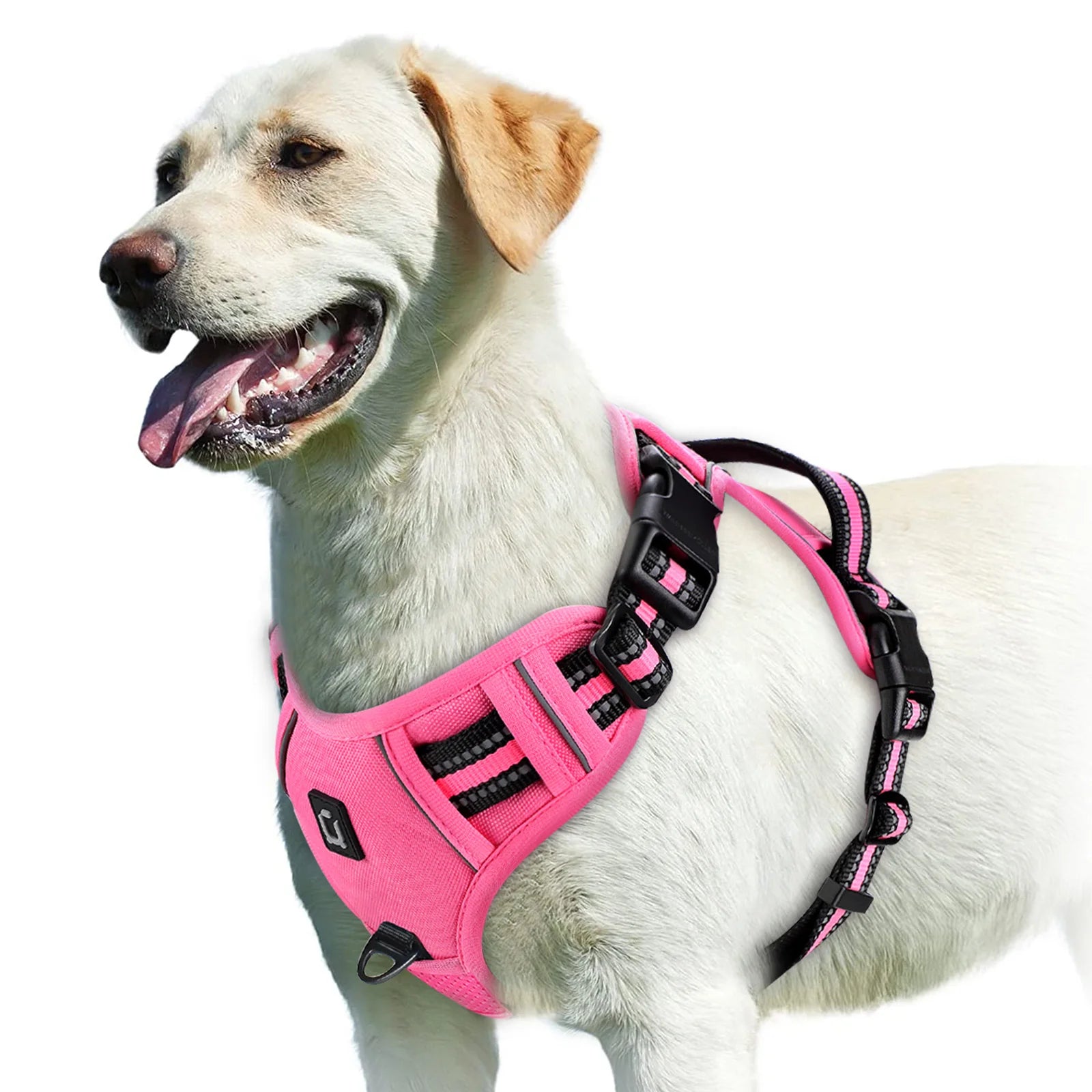 Labrador dog wearing a pink adjustable harness, Furmont pet accessory product photo
