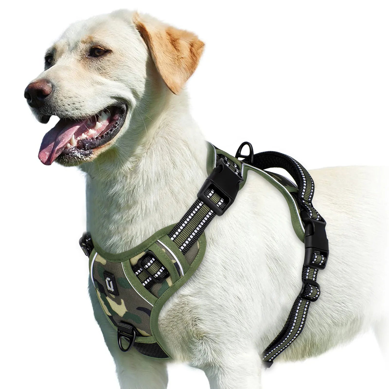 Yellow Labrador dog wearing a green camouflage harness from Furmont