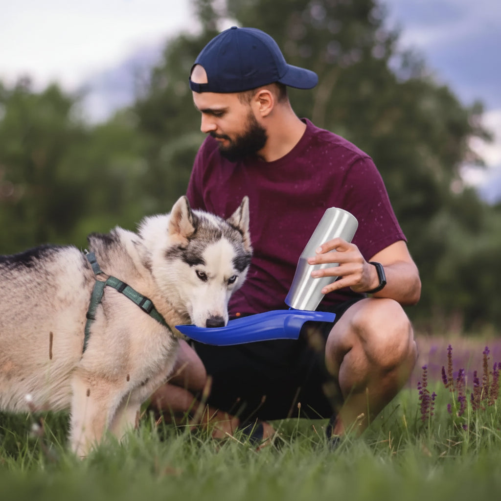 Adventure Travel Water Bottle