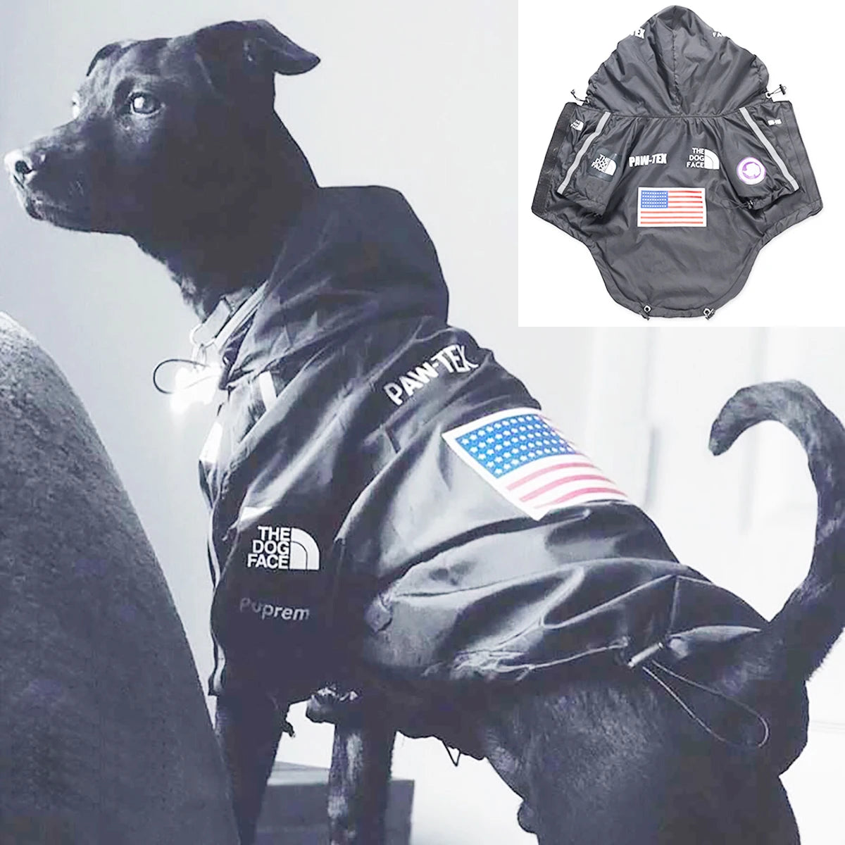 Black dog wearing Furmont Paw-Tex black dog jacket with American flag patch and logos.