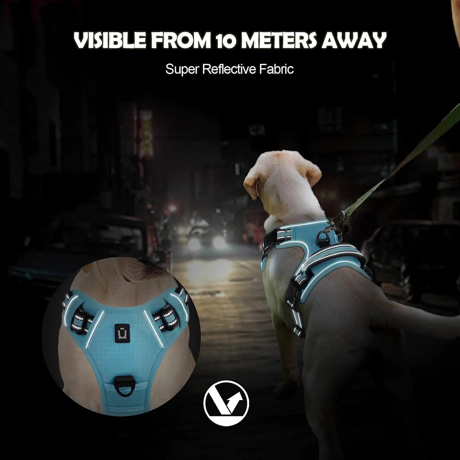 Dog wearing a Furmont reflective harness at night, visible from 10 meters away for safety.