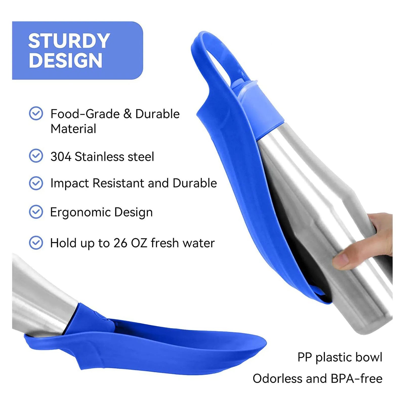Adventure Travel Water Bottle
