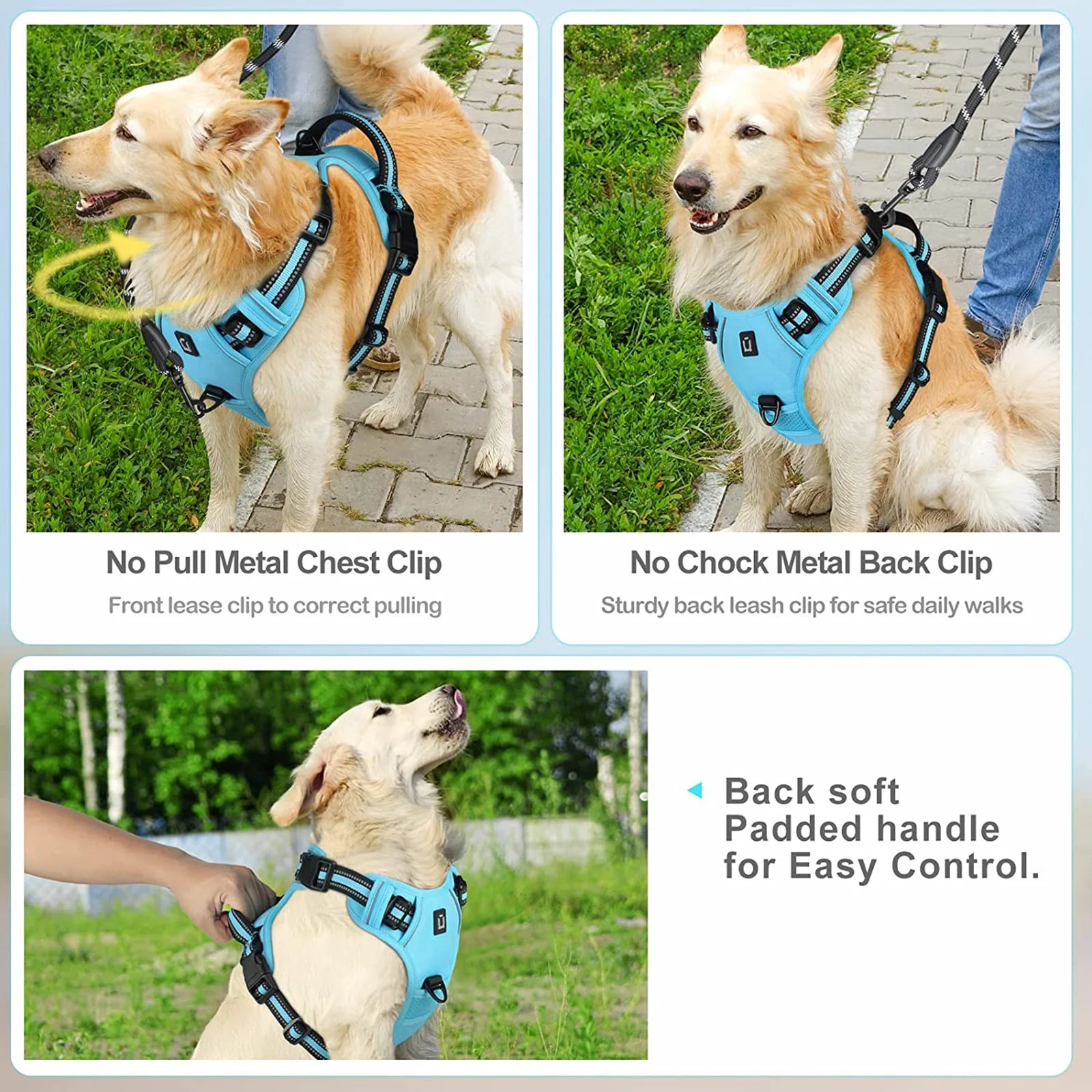 Golden retriever wearing blue no-pull dog harness with front and back clips, easy control handle