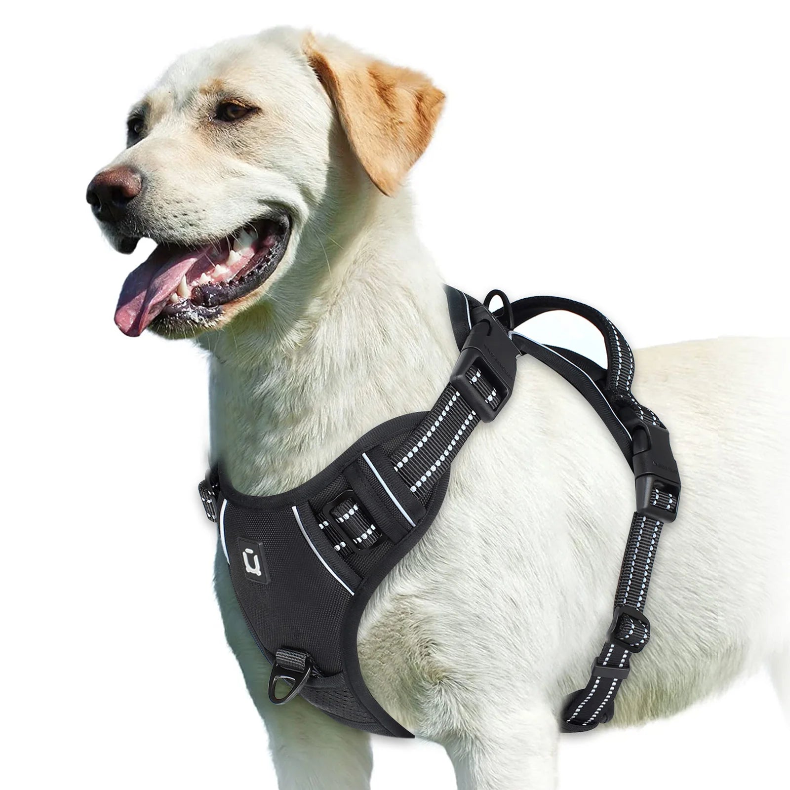 Labrador wearing black no-pull dog harness with reflective stitching, Furmont pet gear