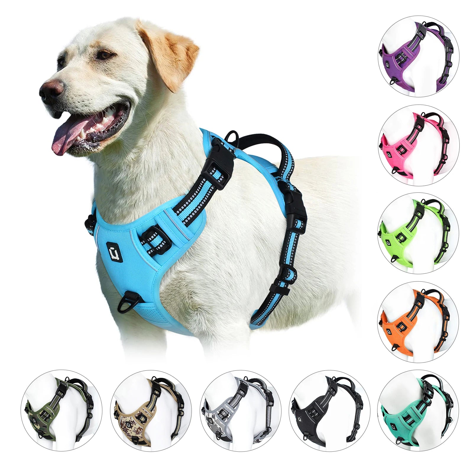 Labrador wearing blue Furmont dog harness, with options in multiple colors displayed around.