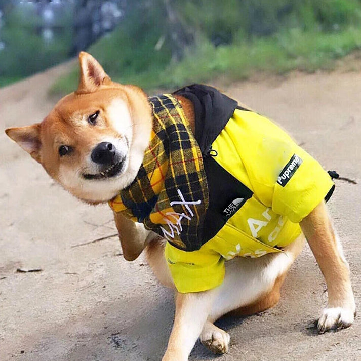 Shiba Inu dog outdoors wearing yellow jacket and plaid scarf, Furmont pet fashion.