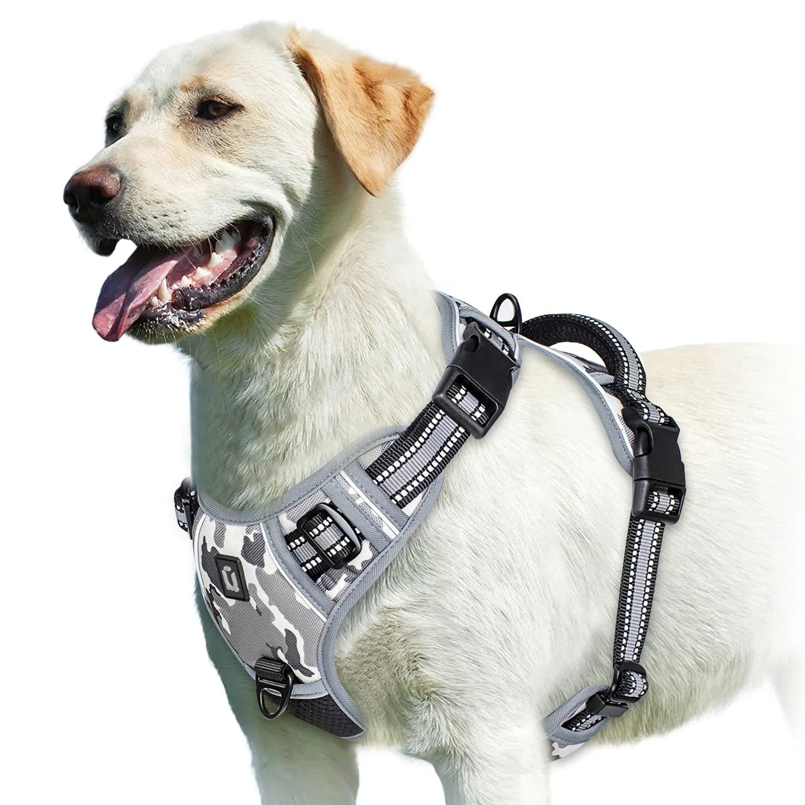Labrador dog wearing a gray camo adjustable harness from Furmont on white background