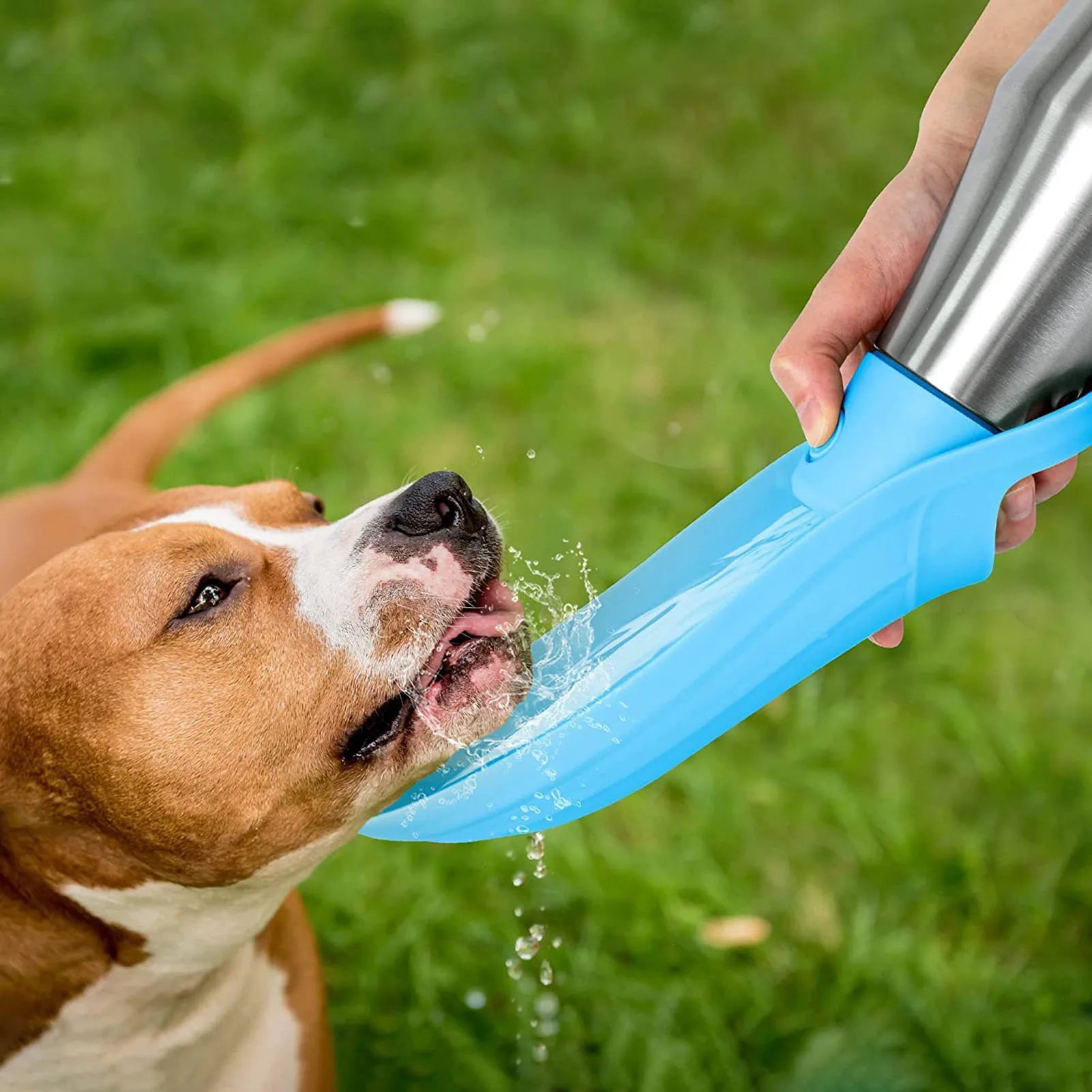 Adventure Travel Water Bottle