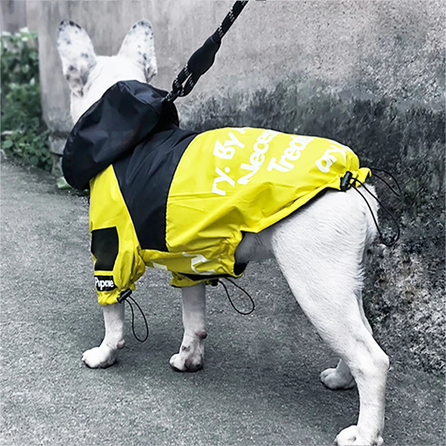 French bulldog wearing a yellow and black dog raincoat on a leash outdoors, Furmont